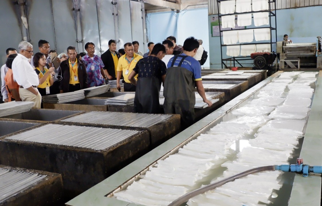 Xuất khẩu cao su tự nhiên của Thái Lan tăng 22,8% trong tháng 6/2022